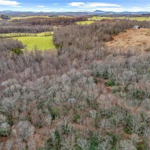 Photo #19 of TBD W Pheasant Chase, Ararat, VA 2.5 acres