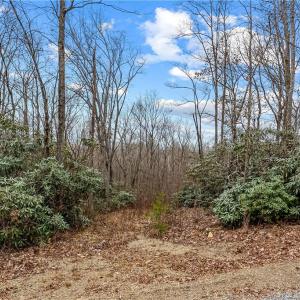 Photo #4 of TBD W Pheasant Chase, Ararat, VA 2.5 acres