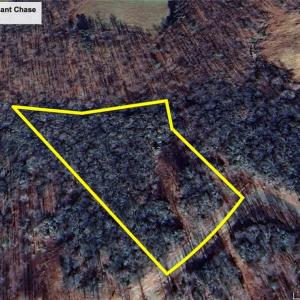 Photo #21 of TBD W Pheasant Chase, Ararat, VA 2.5 acres