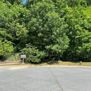 Photo #5 of Thompson, Graham, NC 14.9 acres