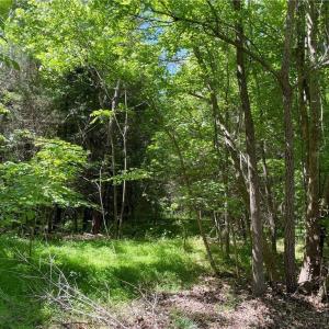 Photo #4 of Thompson, Graham, NC 14.9 acres