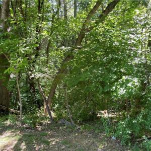 Photo #8 of Thompson, Graham, NC 14.9 acres