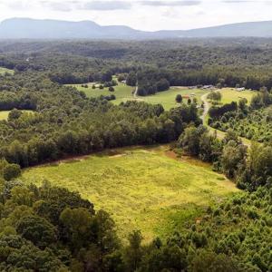 Photo #2 of Inman, Pilot Mountain, NC 17.0 acres