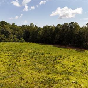 Photo #13 of Inman, Pilot Mountain, NC 17.0 acres