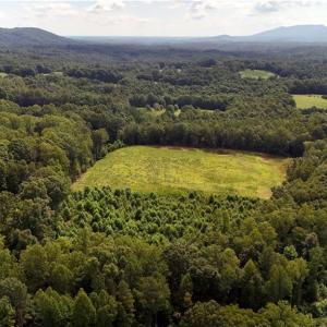 Photo #16 of Inman, Pilot Mountain, NC 17.0 acres