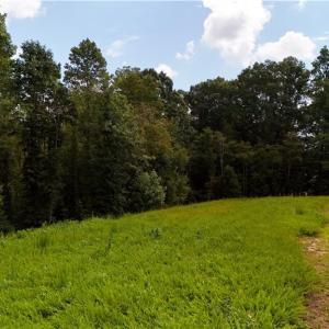 Photo #12 of Inman, Pilot Mountain, NC 17.0 acres