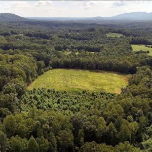 Photo #1 of Inman, Pilot Mountain, NC 17.0 acres