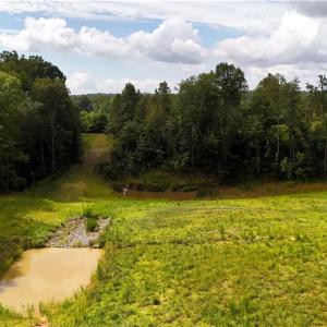 Photo #9 of Inman, Pilot Mountain, NC 17.0 acres