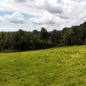 Photo #10 of Inman, Pilot Mountain, NC 17.0 acres