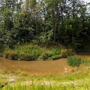 Photo #14 of Inman, Pilot Mountain, NC 17.0 acres
