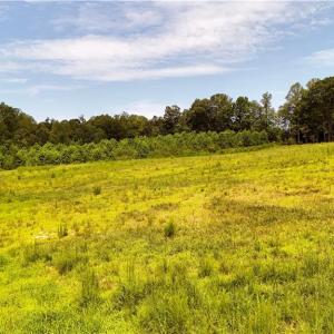 Photo #15 of Inman, Pilot Mountain, NC 17.0 acres