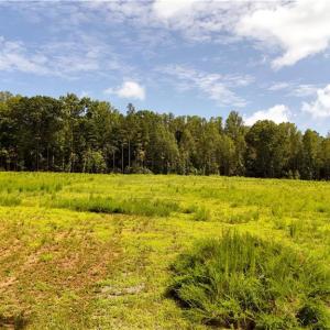 Photo #11 of Inman, Pilot Mountain, NC 17.0 acres