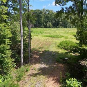 Photo #4 of Inman, Pilot Mountain, NC 17.0 acres