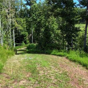 Photo #8 of Inman, Pilot Mountain, NC 17.0 acres