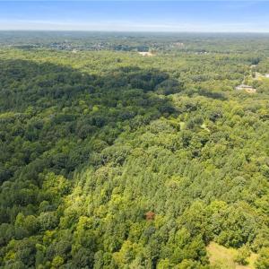 Photo #3 of 205 Alex Hayes, Clemmons, NC 29.2 acres