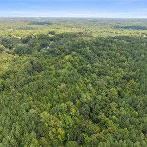 Photo #5 of 205 Alex Hayes, Clemmons, NC 29.2 acres
