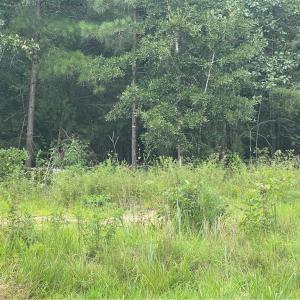 Photo #4 of NC Highway 49, Mebane, NC 8.2 acres