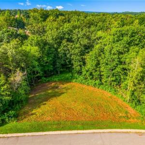 Photo #9 of 163 Emily, High Point, NC 3.3 acres