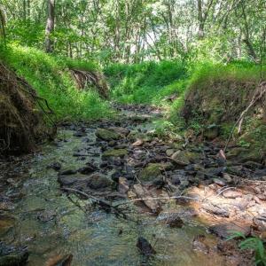 Photo #2 of 8942 Spearman, Reidsville, NC 453.0 acres