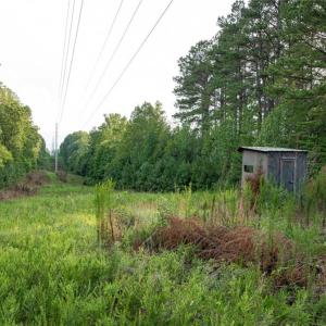 Photo #6 of 8942 Spearman, Reidsville, NC 453.0 acres