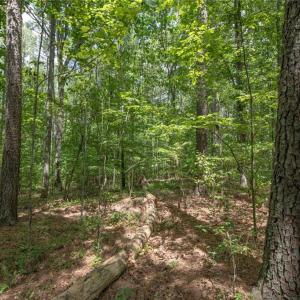 Photo #42 of 8942 Spearman, Reidsville, NC 453.0 acres