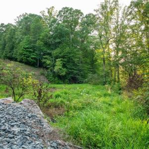 Photo #46 of 8942 Spearman, Reidsville, NC 453.0 acres