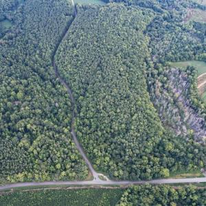 Photo #13 of 8942 Spearman, Reidsville, NC 453.0 acres
