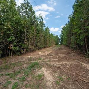 Photo #47 of 8942 Spearman, Reidsville, NC 453.0 acres