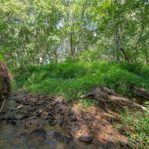 Photo #43 of 8942 Spearman, Reidsville, NC 453.0 acres