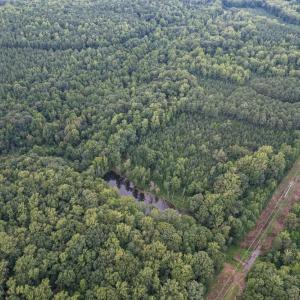 Photo #16 of 8942 Spearman, Reidsville, NC 453.0 acres