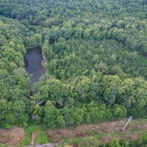 Photo #12 of 8942 Spearman, Reidsville, NC 453.0 acres
