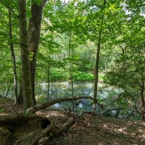 Photo #26 of 8942 Spearman, Reidsville, NC 453.0 acres