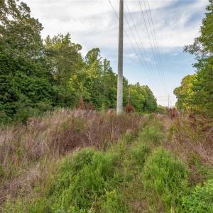 Photo #22 of 8942 Spearman, Reidsville, NC 453.0 acres