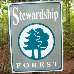 Photo #7 of 8942 Spearman, Reidsville, NC 453.0 acres