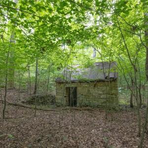 Photo #36 of 8942 Spearman, Reidsville, NC 453.0 acres