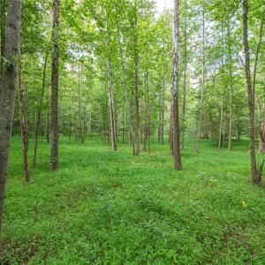 Photo #32 of 8942 Spearman, Reidsville, NC 453.0 acres