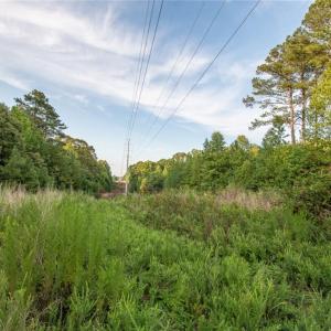 Photo #1 of 8942 Spearman, Reidsville, NC 453.0 acres