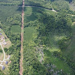 Photo #20 of 8942 Spearman, Reidsville, NC 453.0 acres