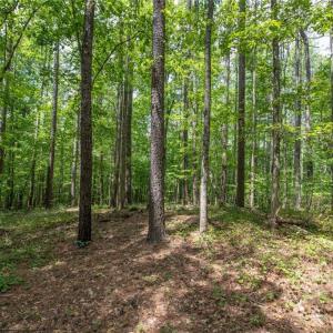 Photo #9 of 8942 Spearman, Reidsville, NC 453.0 acres