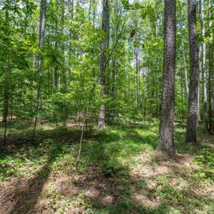 Photo #24 of 8942 Spearman, Reidsville, NC 453.0 acres