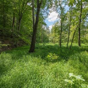 Photo #30 of 8942 Spearman, Reidsville, NC 453.0 acres