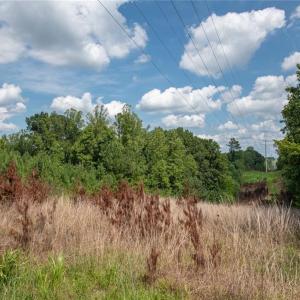 Photo #34 of 8942 Spearman, Reidsville, NC 453.0 acres
