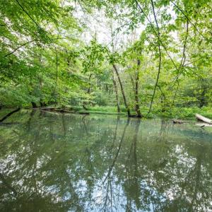 Photo #10 of 8942 Spearman, Reidsville, NC 453.0 acres
