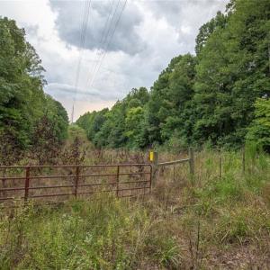 Photo #33 of 8942 Spearman, Reidsville, NC 453.0 acres