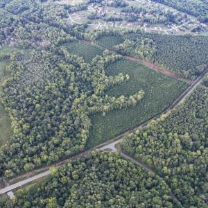 Photo #14 of 8942 Spearman, Reidsville, NC 453.0 acres