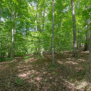 Photo #45 of 8942 Spearman, Reidsville, NC 453.0 acres
