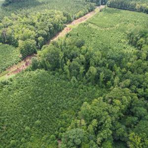 Photo #18 of 8942 Spearman, Reidsville, NC 453.0 acres