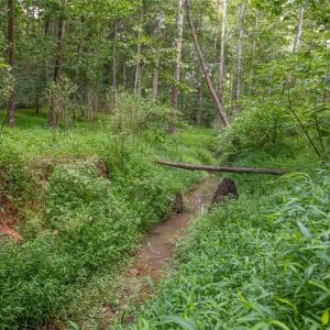 Photo #37 of 8942 Spearman, Reidsville, NC 453.0 acres