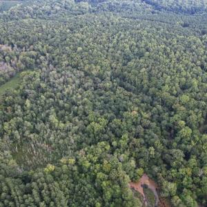 Photo #15 of 8942 Spearman, Reidsville, NC 453.0 acres