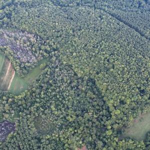 Photo #19 of 8942 Spearman, Reidsville, NC 453.0 acres